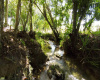 Sosua East, ,Land,For Sale,1010