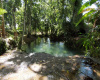 Sosua East, ,Land,For Sale,1010