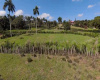 Sosua East, ,Land,For Sale,1011