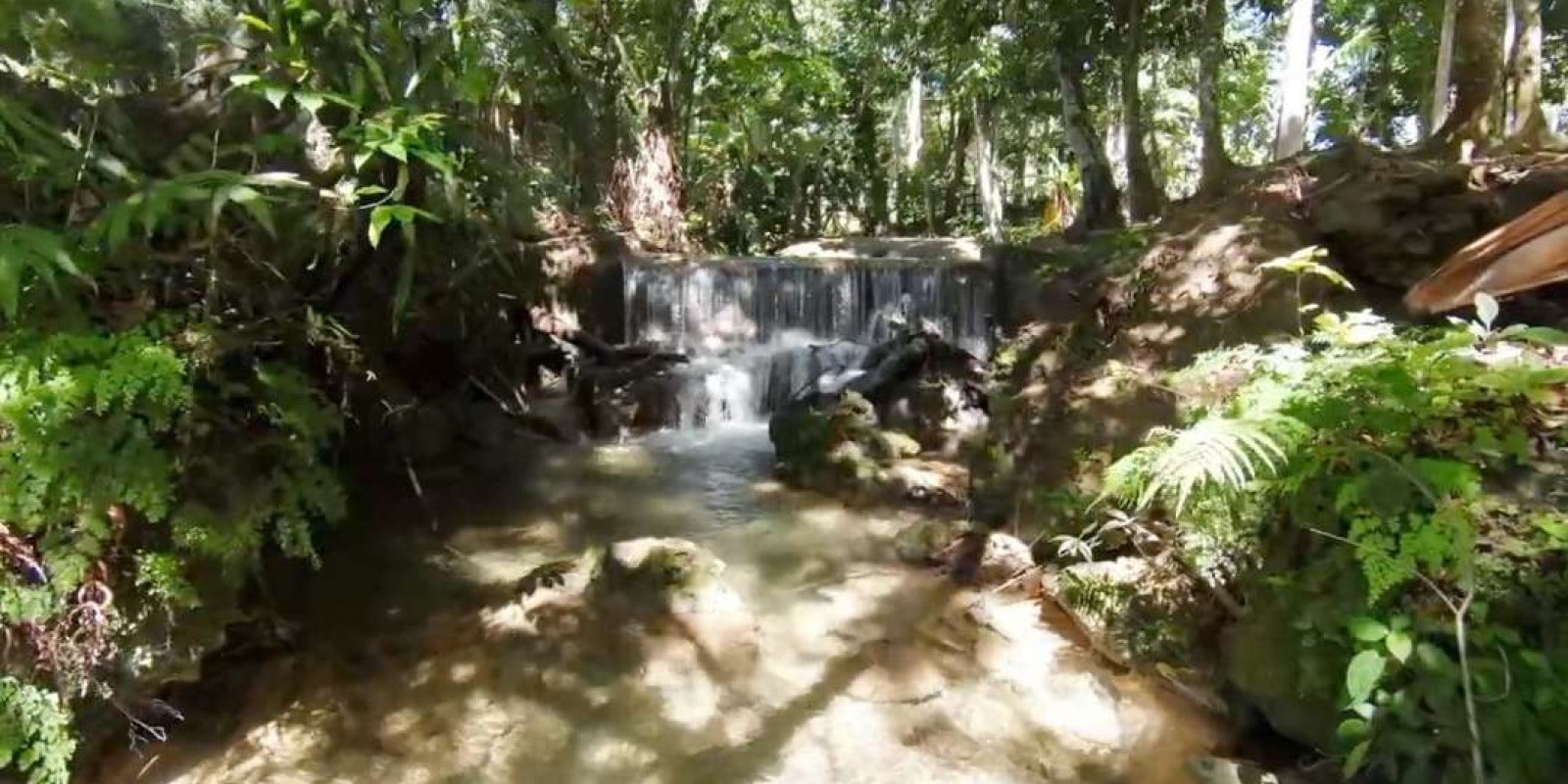 Sosua East, ,Land,For Sale,1011