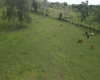 Sosua East, ,Land,For Sale,1011