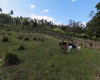 Sosua East, ,Land,For Sale,1011